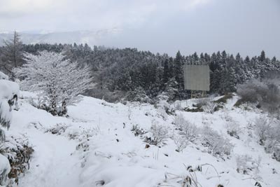 電波反射板