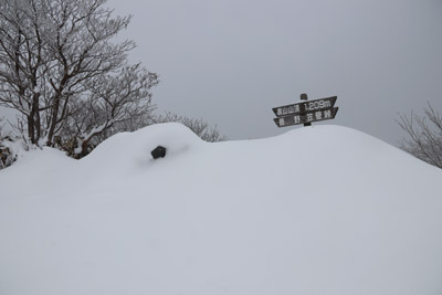 泉山山頂