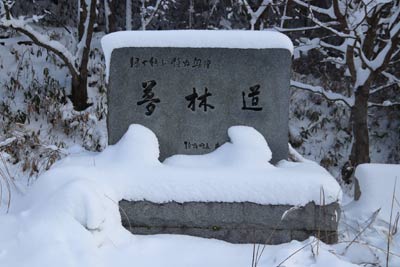 夢林道