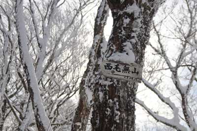 標識