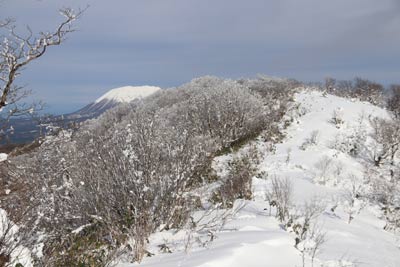 雪庇