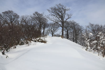尾根