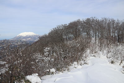 大山とカタクリ広場