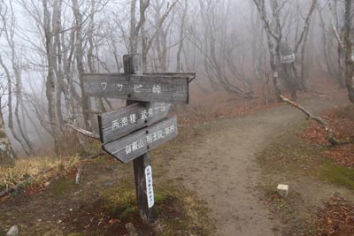 ワサビ峠