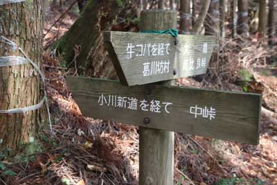 奥ノ深谷出合