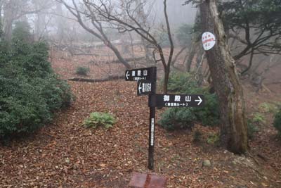 分岐