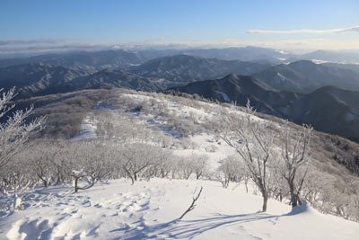 雪原