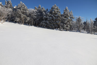 大雪原