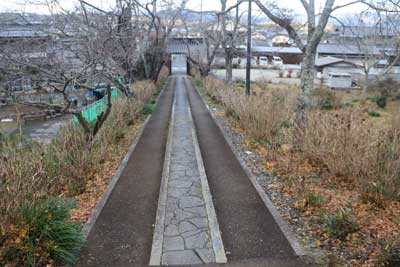 アジサイロード