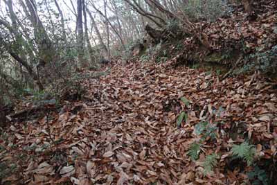登山道