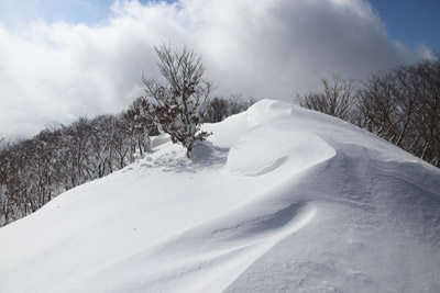 雪庇