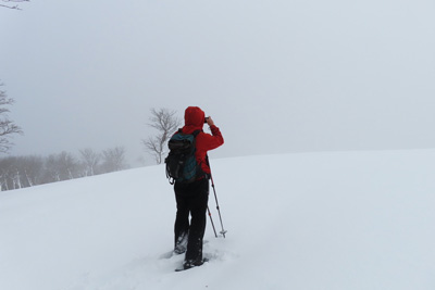 大雪原