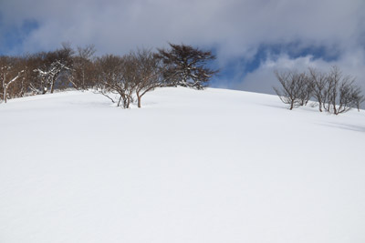 雪原