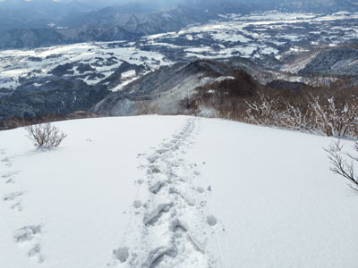 蒜山高原