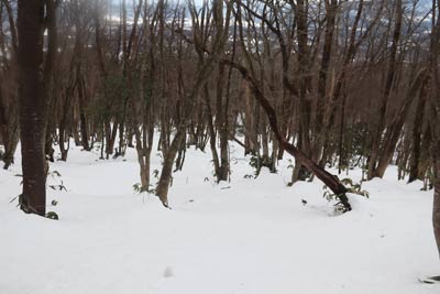 広い尾根