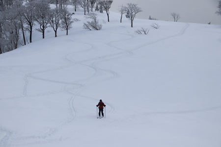 雪原を滑る