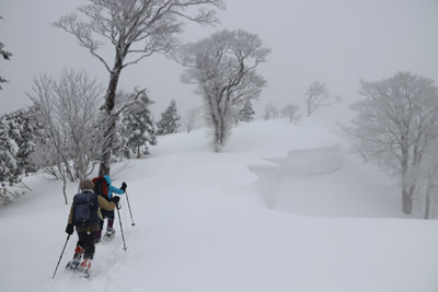 雪庇