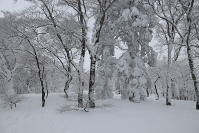 恩原三国山山頂
