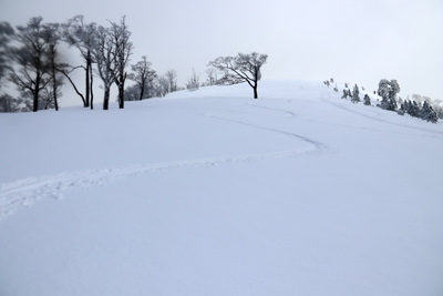 シュプール