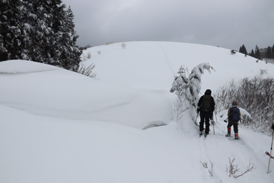 雪庇