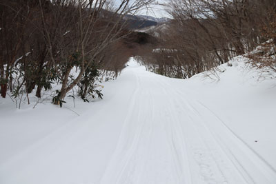 林道