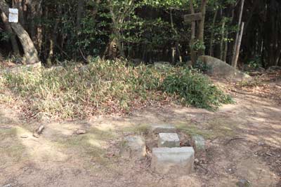 種松山
