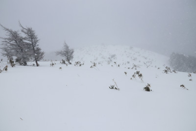 津黒山山頂を見る