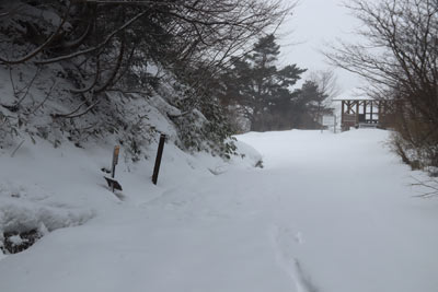 中央登山口