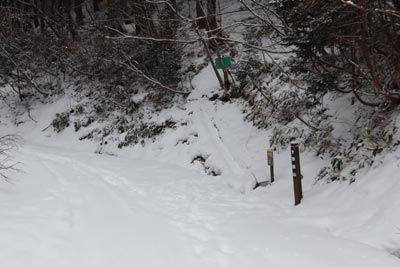 中央登山口