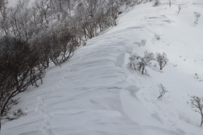雪庇