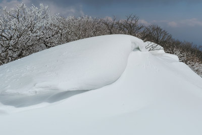 雪庇