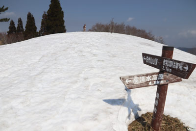 伯州山山頂