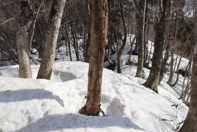 尾根