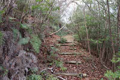 階段の登山道