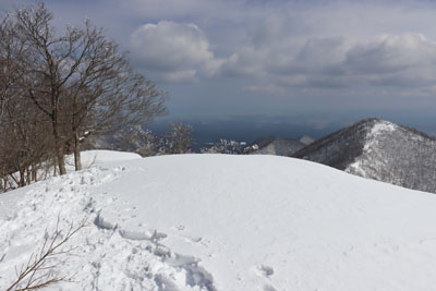 皆ヶ山山頂