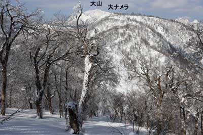 大ナメラへ