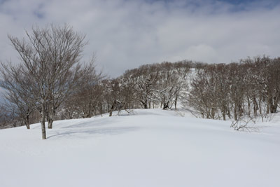 山頂台地