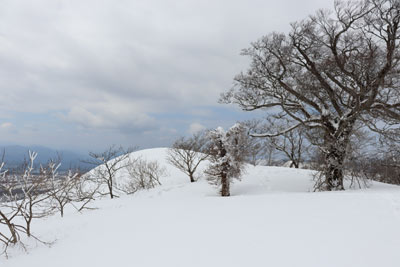 大ナメラ山頂
