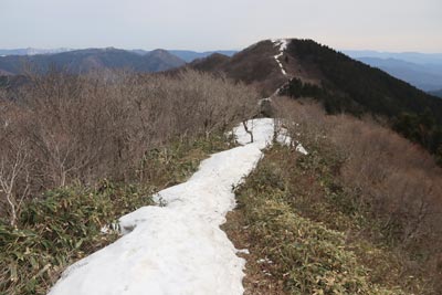 泉山へ