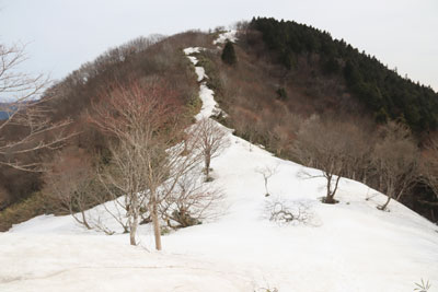 雪原