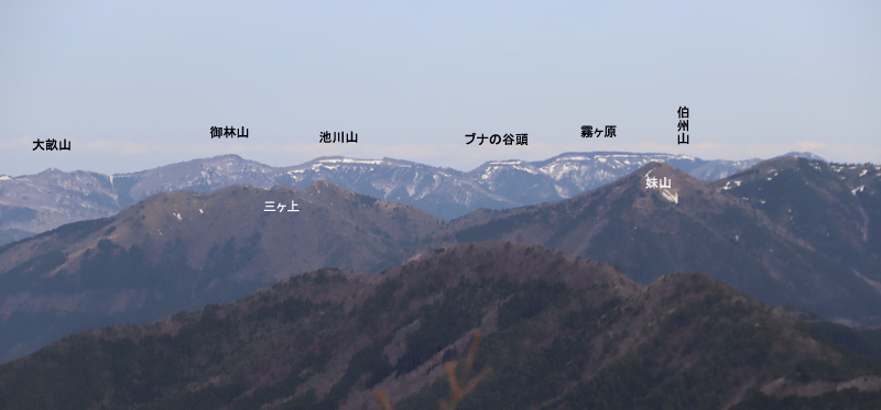 泉山山頂から