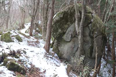松茸岩