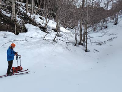 ふる里の森登山口