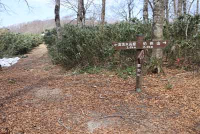 丸山分岐