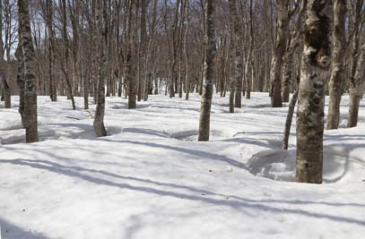 小ヅッコ