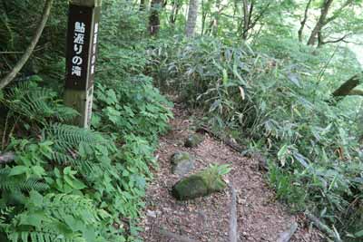 分岐
