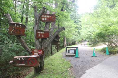 森林公園入口