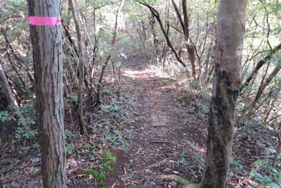 分岐２