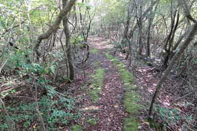 登山道