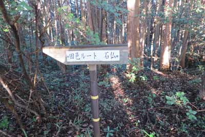 分岐